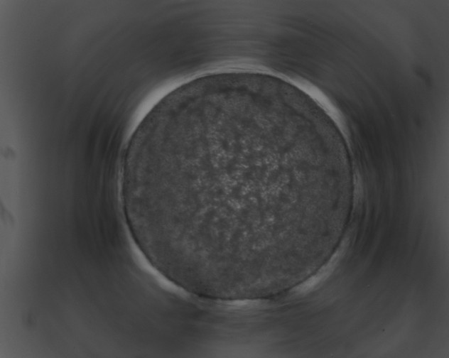 X0000090861390200708030938
