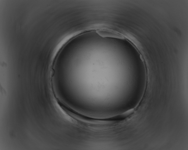 X0000090861392200708030938