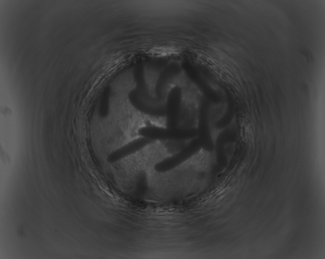 X0000090861393200708030937