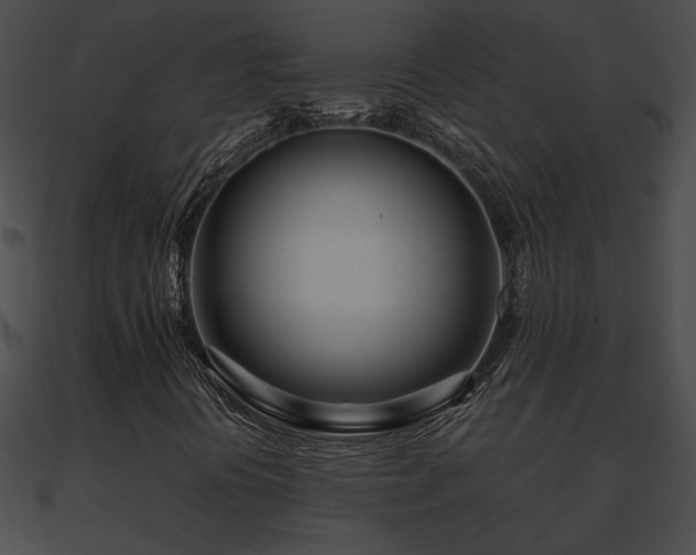 X0000090861394200708030937