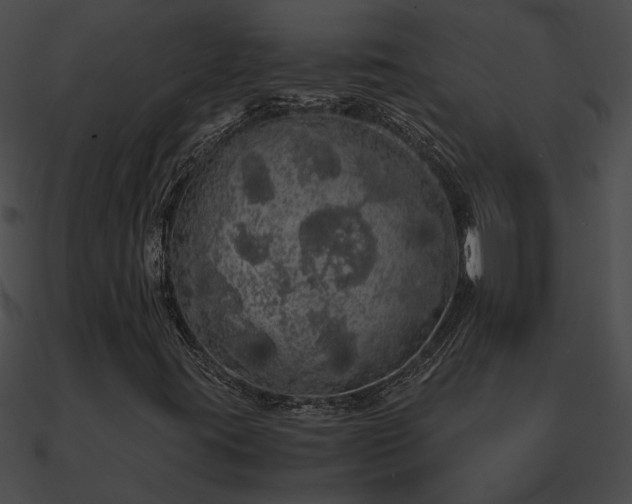 X0000090861395200708030937