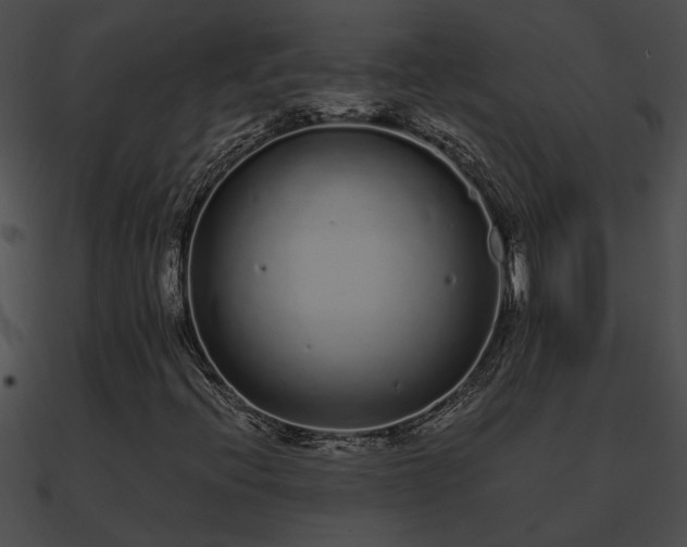 X0000090861396200708030937