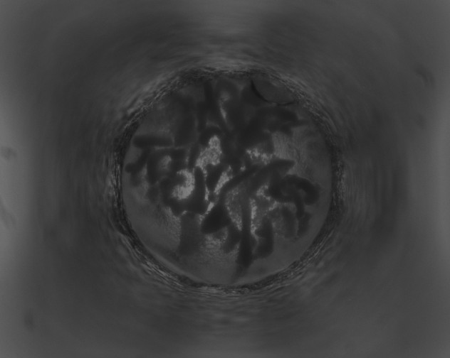 X0000090861397200708030937