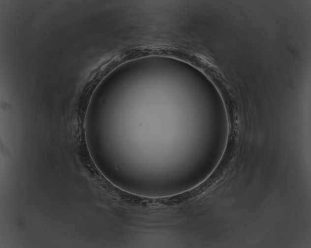 X0000090861398200708030937