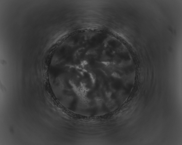 X0000090861399200708030937