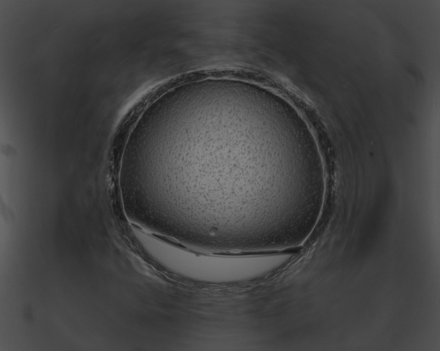 X0000090861400200708030937