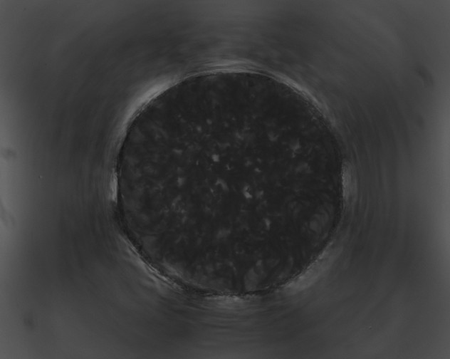 X0000090861405200708030938