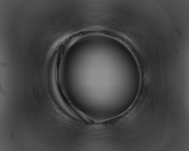X0000090861406200708030938