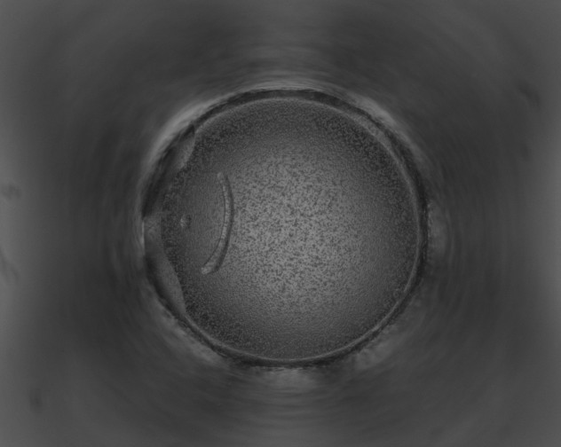 X0000090861408200708030938