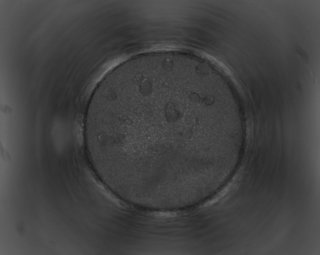 X0000090861409200708030938