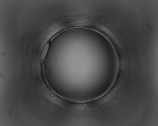 X0000090861410200708030938
