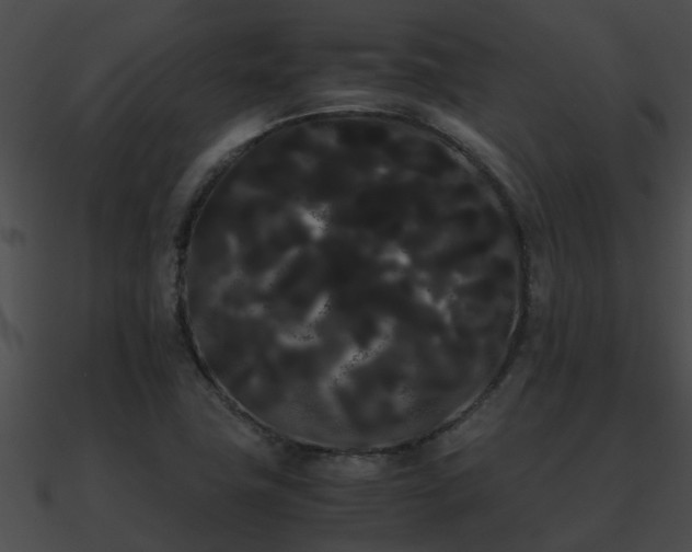 X0000090861411200708030938