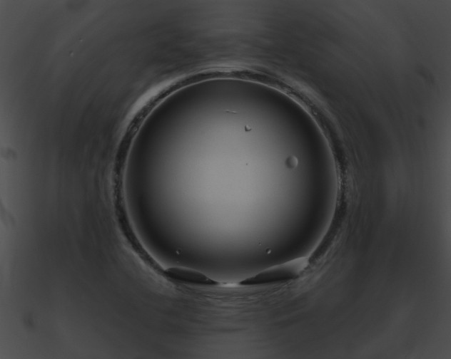 X0000090861412200708030938
