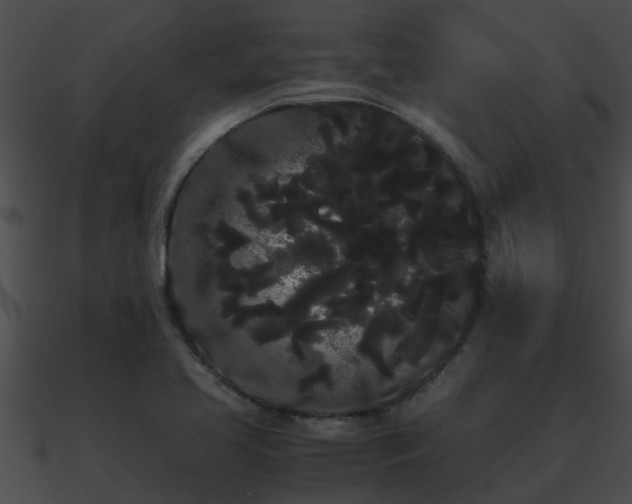 X0000090861413200708030938
