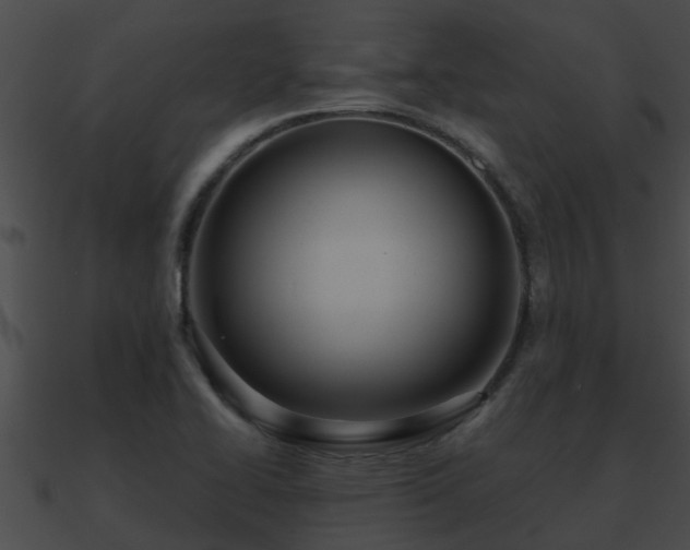 X0000090861414200708030938