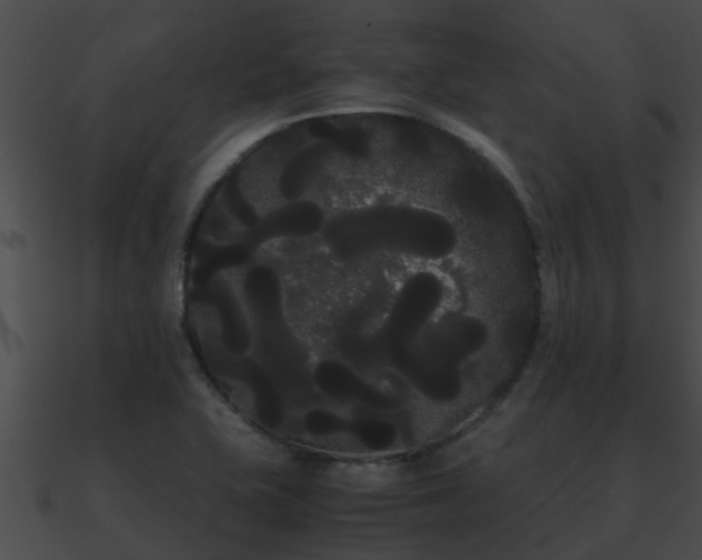 X0000090861415200708030938