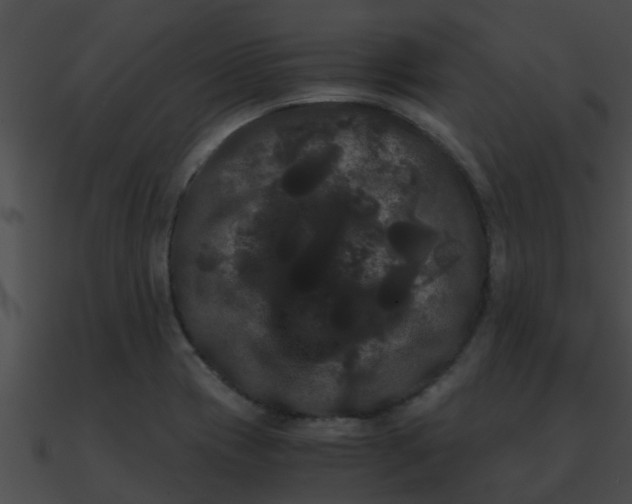 X0000090861417200708030938