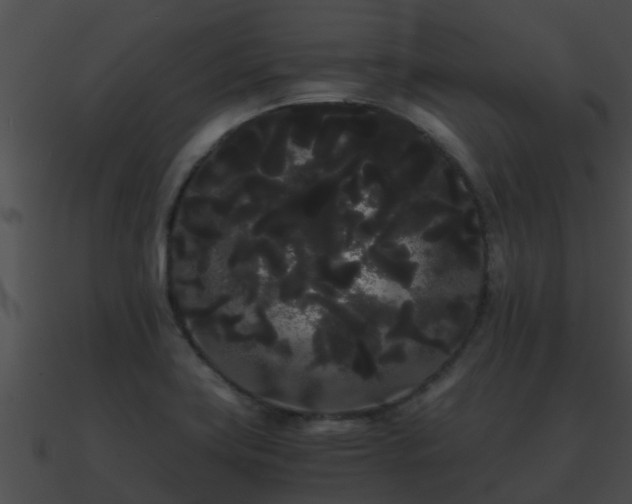 X0000090861419200708030938