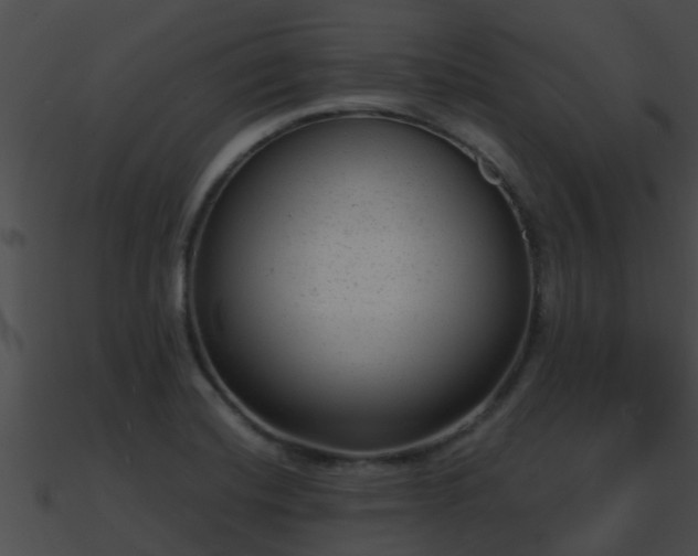 X0000090861420200708030938