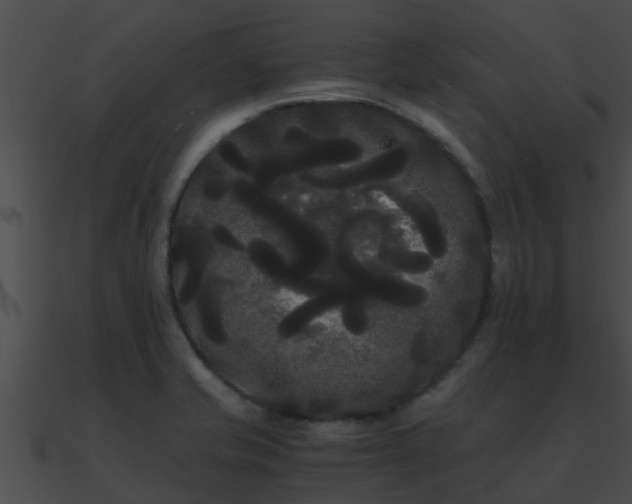 X0000090861421200708030938