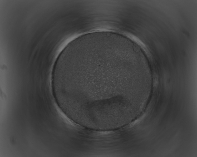 X0000090861423200708030938