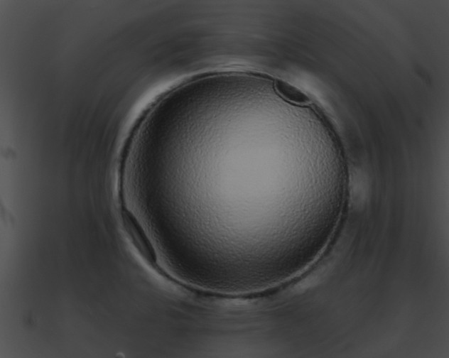 X0000090861424200708030938