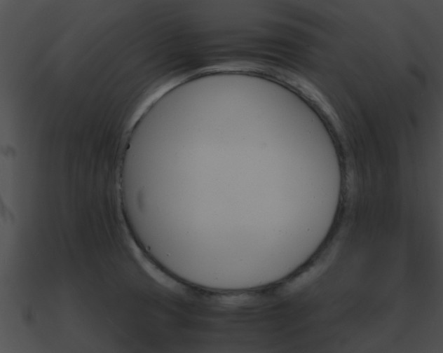 X0000090861425200708030938