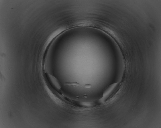 X0000090861426200708030938