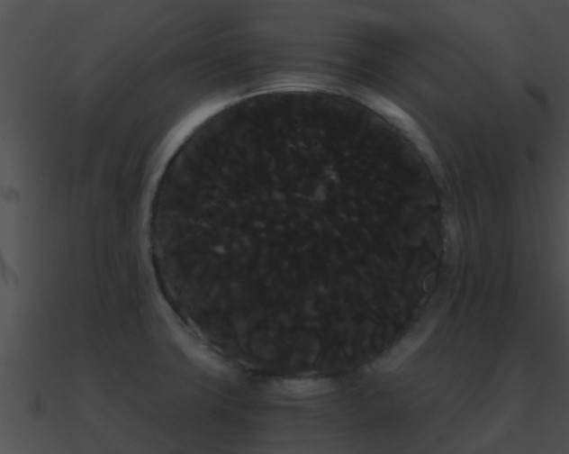 X0000090861427200708030938