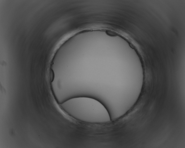 X0000090861429200708030938