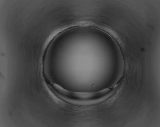 X0000090861430200708030938