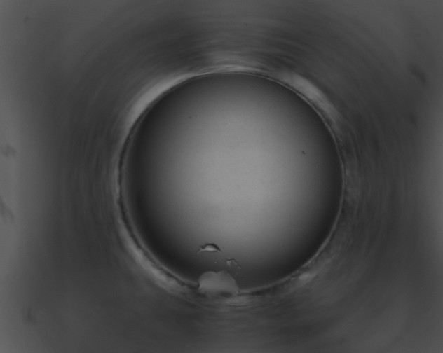 X0000090861431200708030938