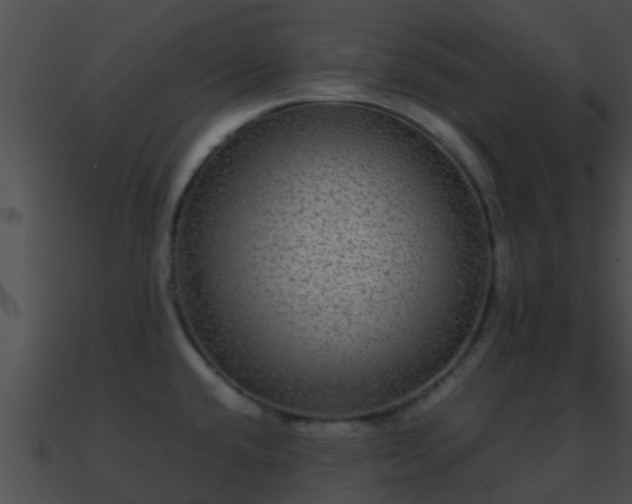 X0000090861432200708030938