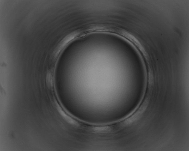 X0000090861433200708030938