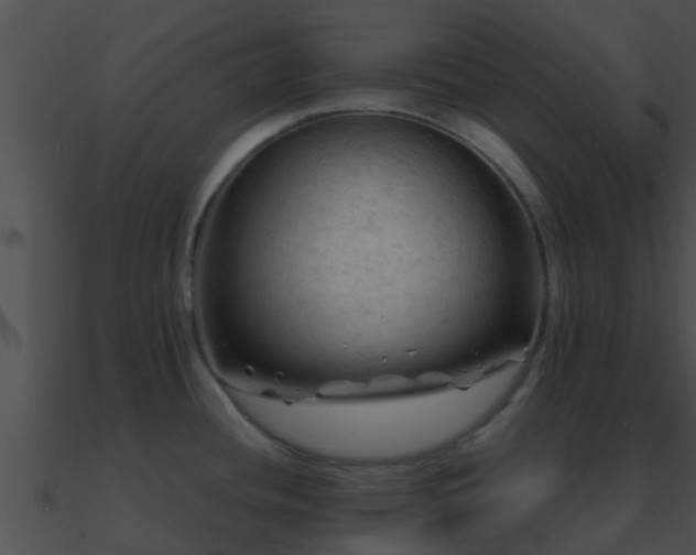 X0000090861436200708030938