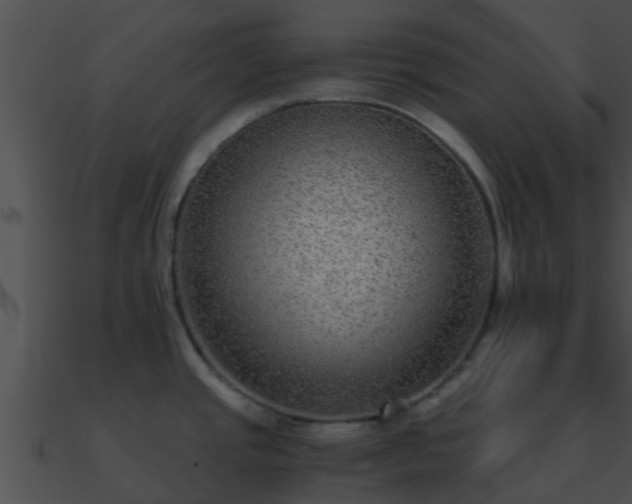 X0000090861437200708030938