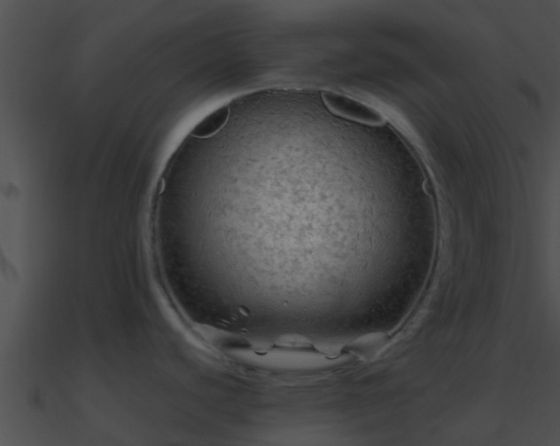 X0000090861440200708030938
