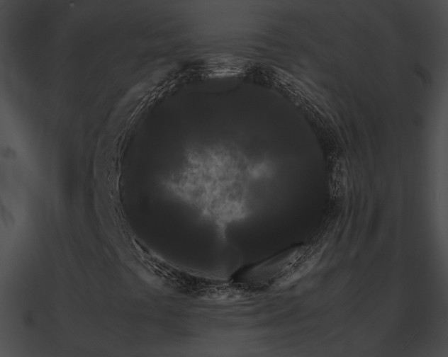 X0000090861441200708030937