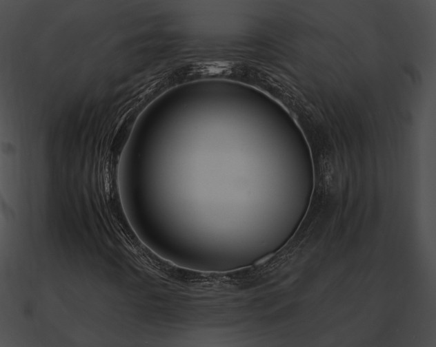 X0000090861442200708030937