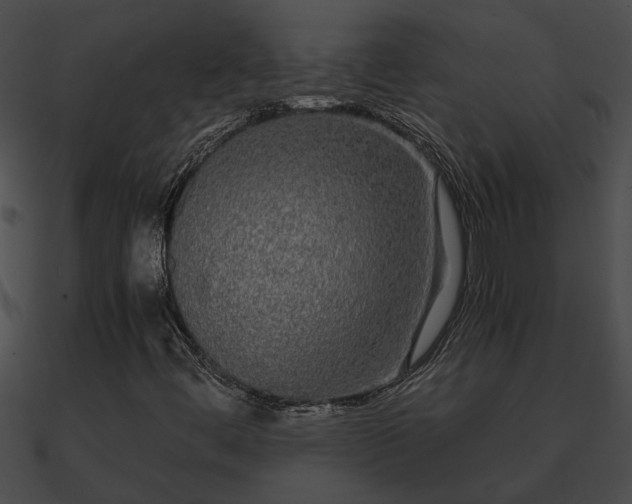 X0000090861444200708030937