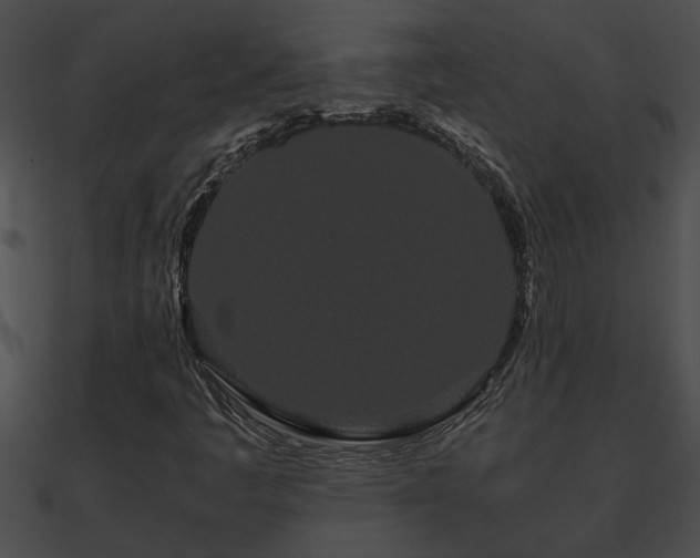 X0000090861445200708030937
