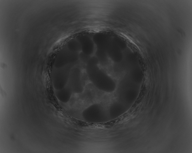 X0000090861446200708030937