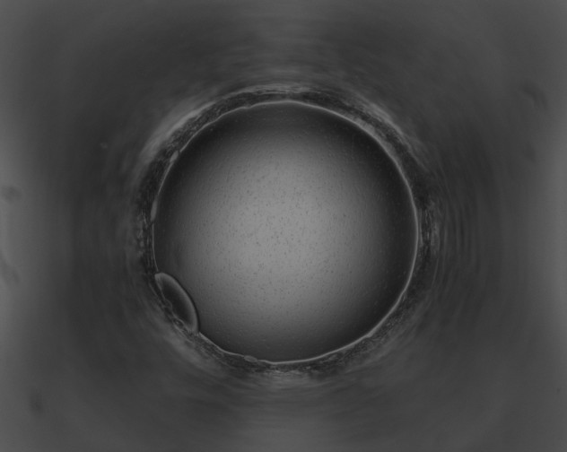 X0000090861448200708030937