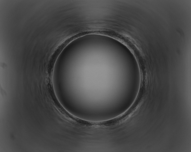 X0000090861449200708030937