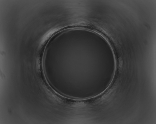 X0000090861455200708030937