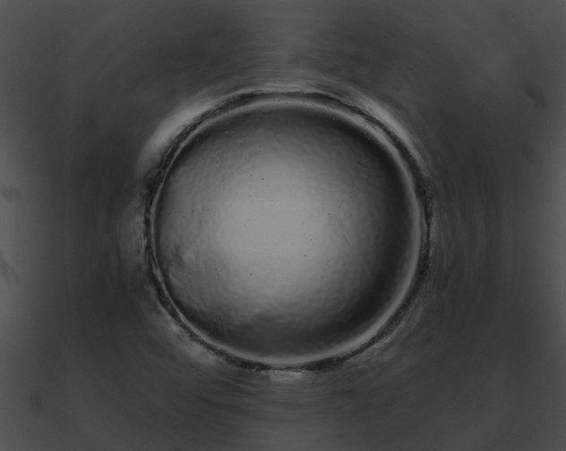 X0000090861456200708030937