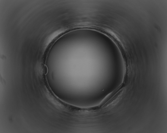 X0000090861458200708030937