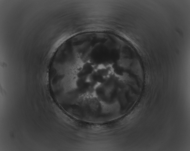 X0000090861459200708030937