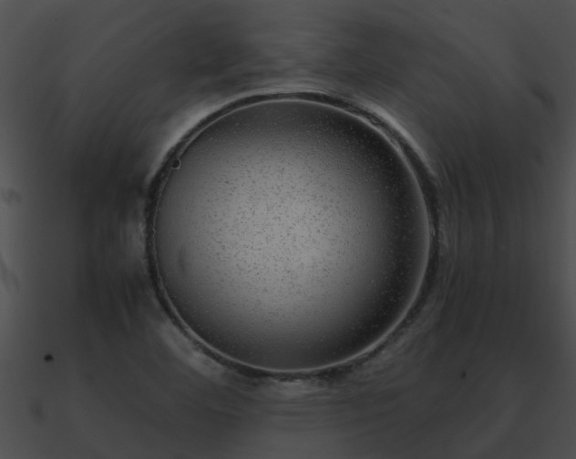X0000090861460200708030937