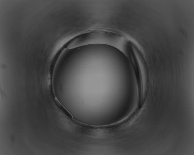 X0000090861461200708030937
